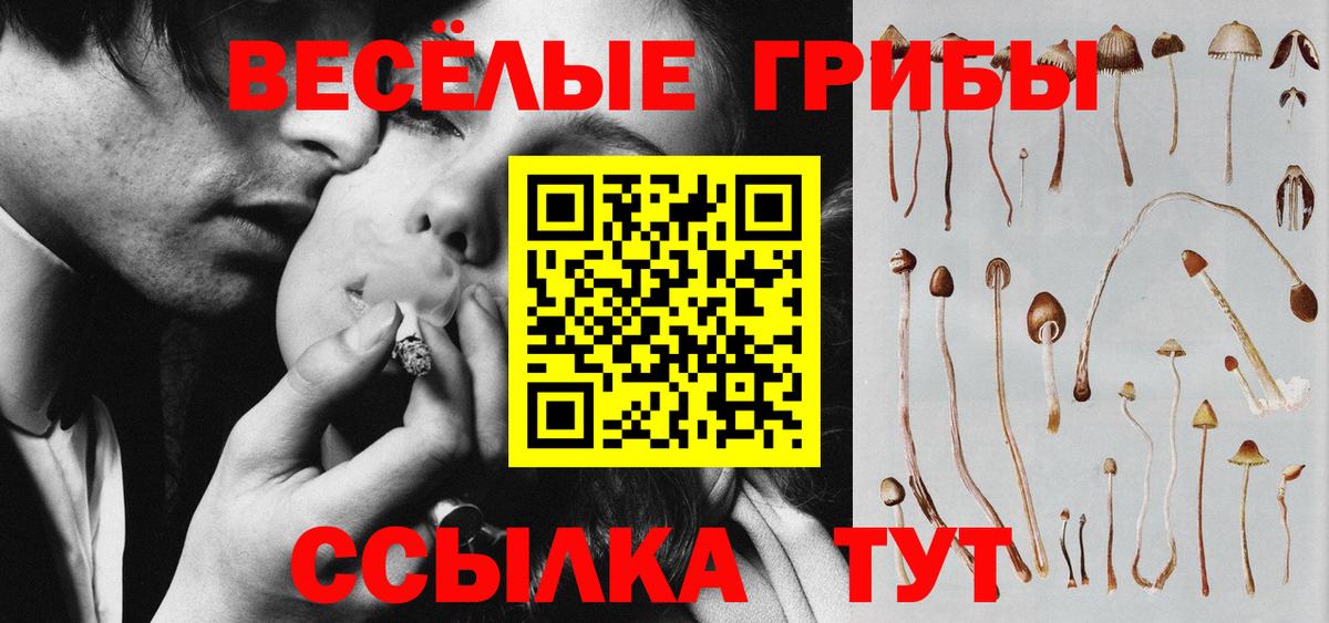 Соль-Илецк  Галлюциногенные грибы MAGIC MUSHROOMS  Вход с VPN 